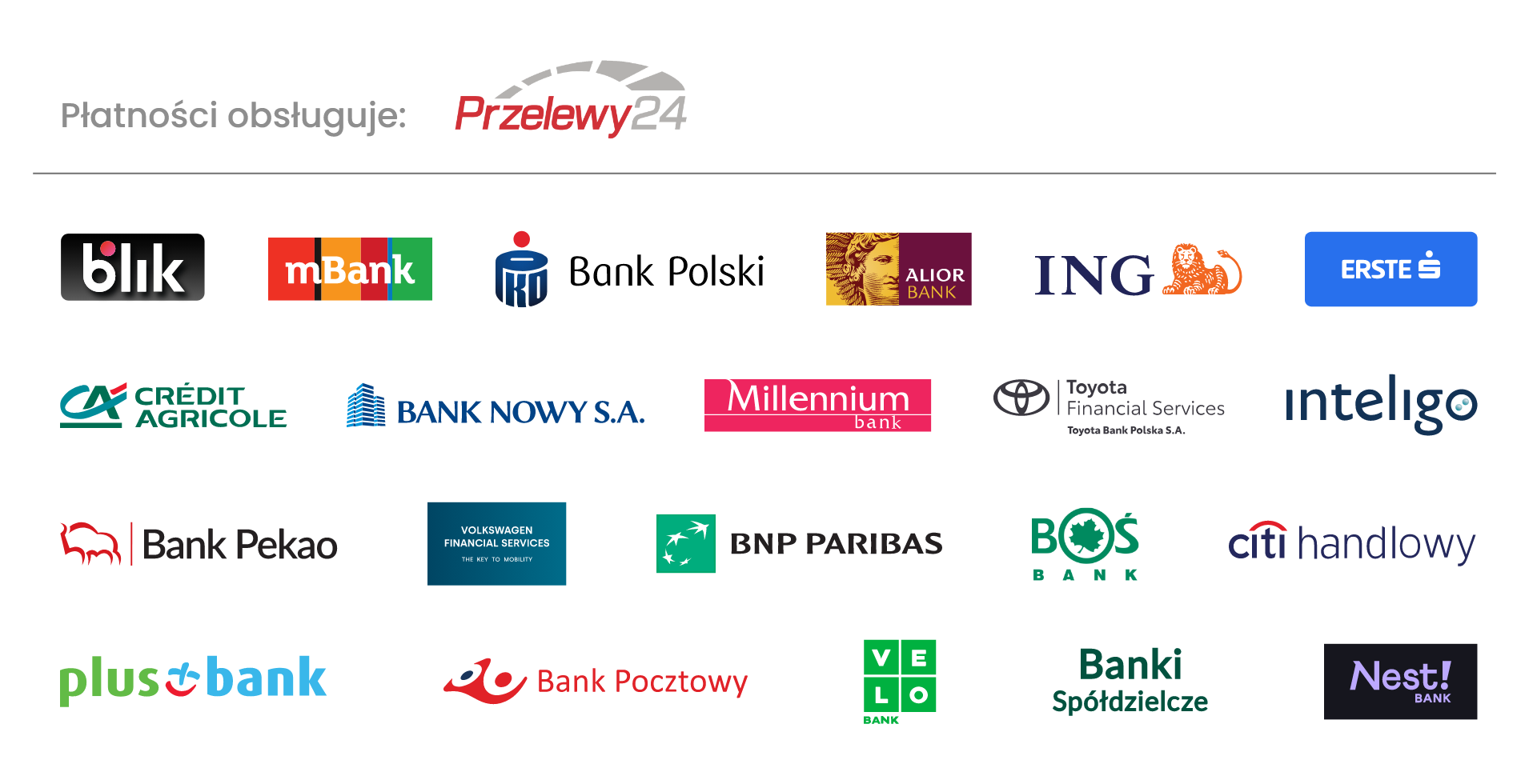 Przelewy24 — obsługiwane metody płatności: BLIK i szybki przelew bankowy
